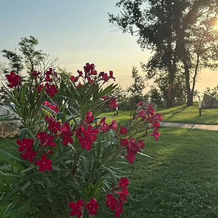 Luxury Sea View With Access - Parking & Heated Pool Apartmán