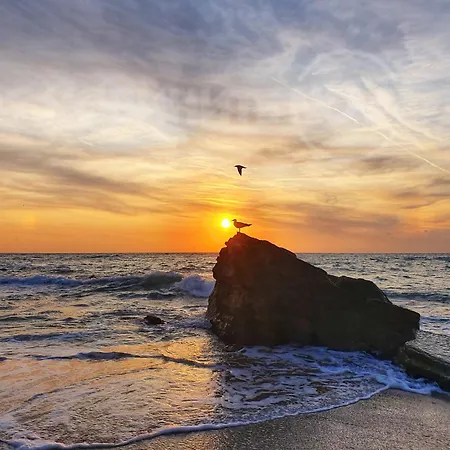 Luxury Sea Prestige - Jacuzzi, Sauna And Steam Bath Lejlighed Varna